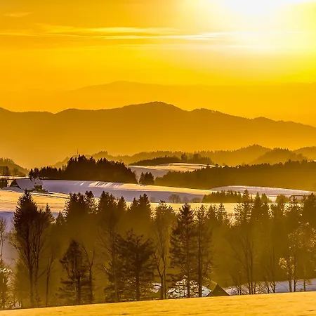 Apartmán 04 - Ferienresidenz Roseneck, Mit Schwimmbad In Bei Feldberg *