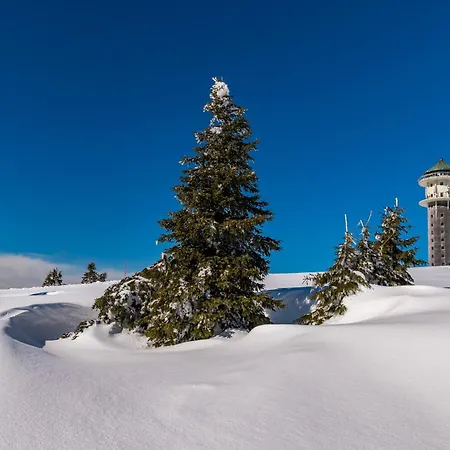 04 - Ferienresidenz Roseneck, Mit Schwimmbad In Bei Feldberg * Todtnauberg