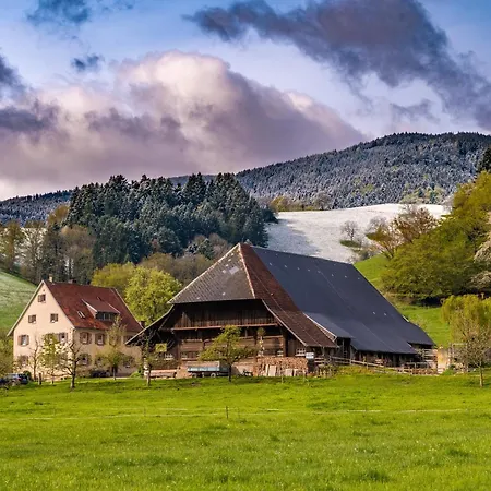 Apartmán 04 - Ferienresidenz Roseneck, Mit Schwimmbad In Bei Feldberg *