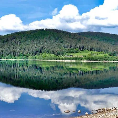 Apartmán 04 - Ferienresidenz Roseneck, Mit Schwimmbad In Bei Feldberg *