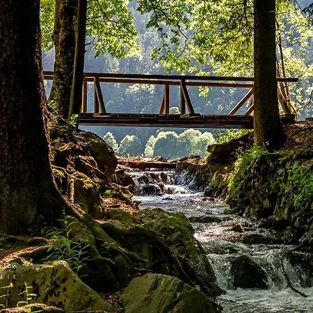 04 - Ferienresidenz Roseneck, Mit Schwimmbad In Bei Feldberg Apartmán