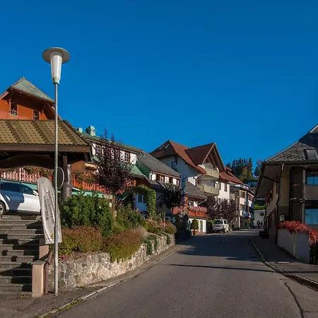 04 - Ferienresidenz Roseneck, Mit Schwimmbad In Bei Feldberg * Todtnauberg