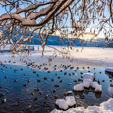 04 - Ferienresidenz Roseneck, Mit Schwimmbad In Bei Feldberg
