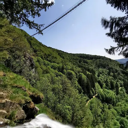 04 - Ferienresidenz Roseneck, Mit Schwimmbad In Bei Feldberg * Todtnauberg